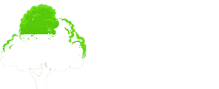 Wellington Tree Services